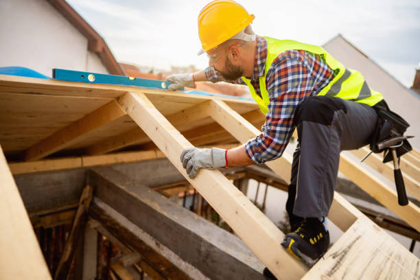 Best Roof Gutter Cleaning  in Rock Springs, NM